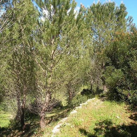 Panzió Borgo Delle Xiii Fontane Tissi
